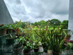 Shelford View (D11), Condominium #447019361